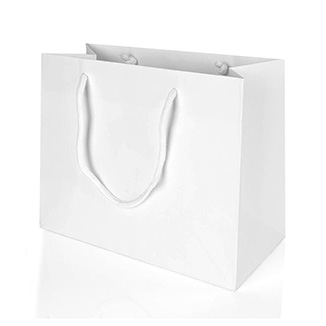 best prices for  Medium Landscape White Paper Gift Bag